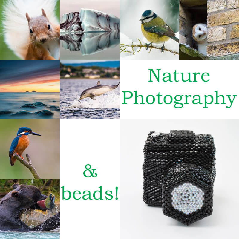 Nature photography and beads, Katie Dean, Beadflowers